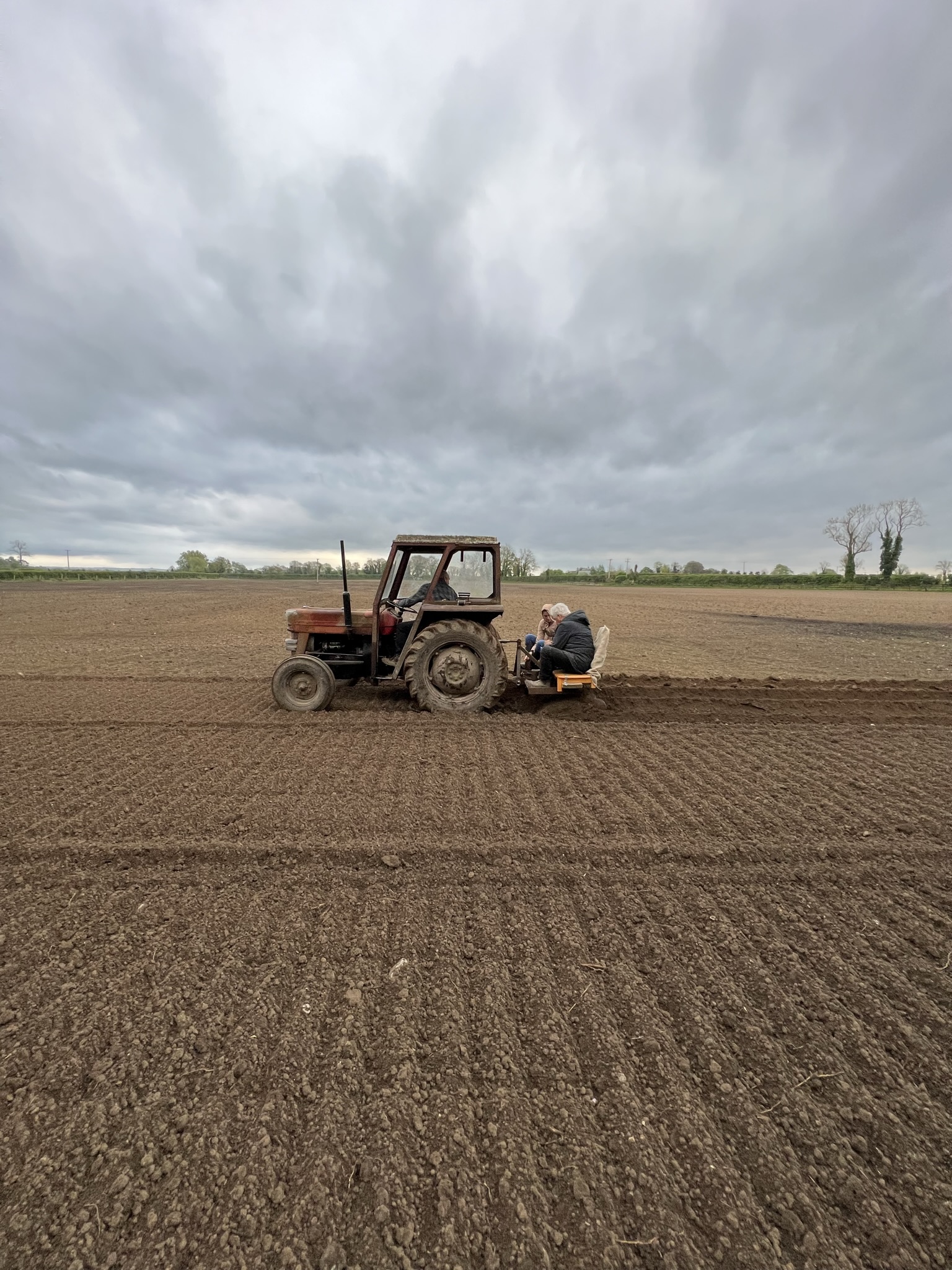 Kildare Farm Foods Open Farm & Shop Organic Potato Picking