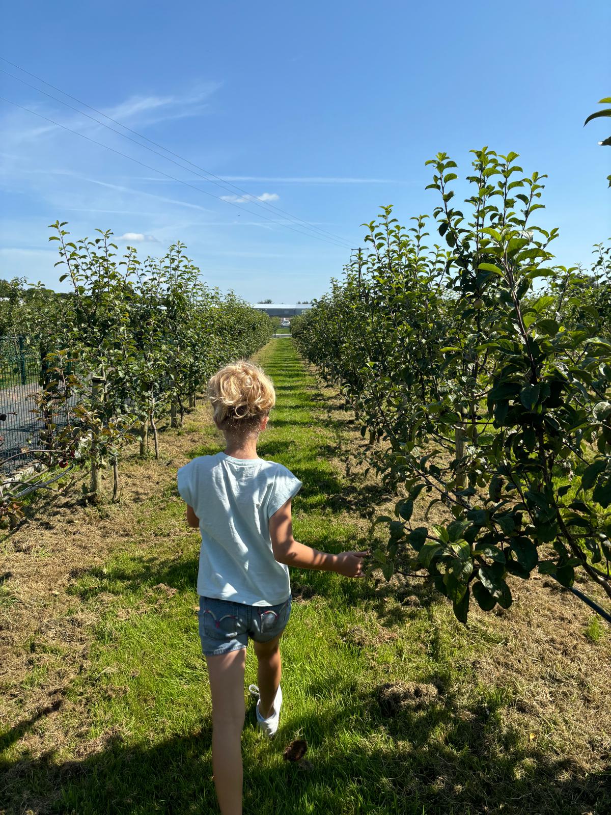 KIldare Farm Foods Organic Orchard Working Farm Tour